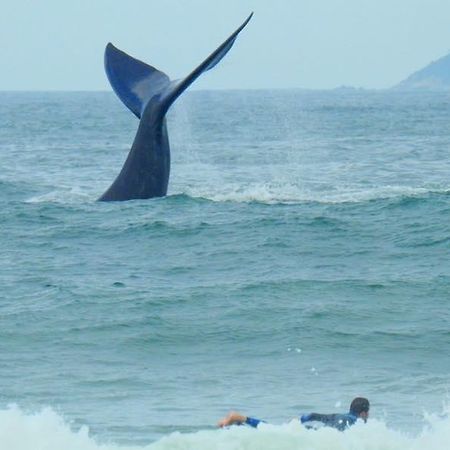 Tranquilidade Na Praia Da Gamboa 加罗帕巴 外观 照片