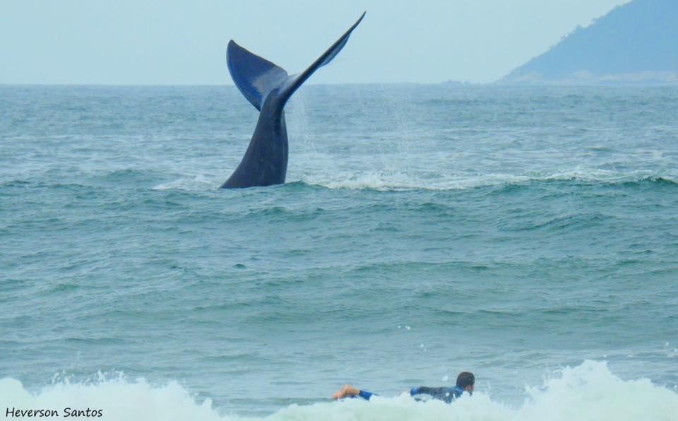Tranquilidade Na Praia Da Gamboa 加罗帕巴 外观 照片